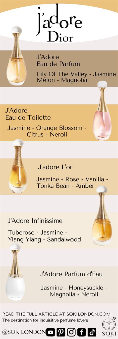 notas do perfume jadore dior|Dior J'adore Scent Profile, Notes & Facts! .